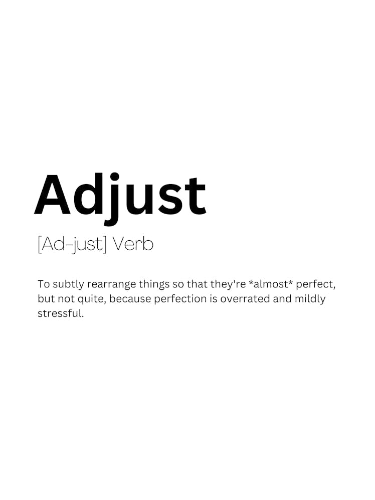Adjust Definition Meaning 1
