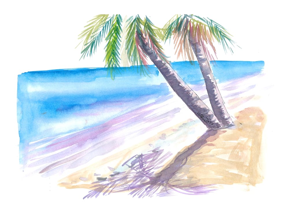 Palm Shadow In The Caribbean