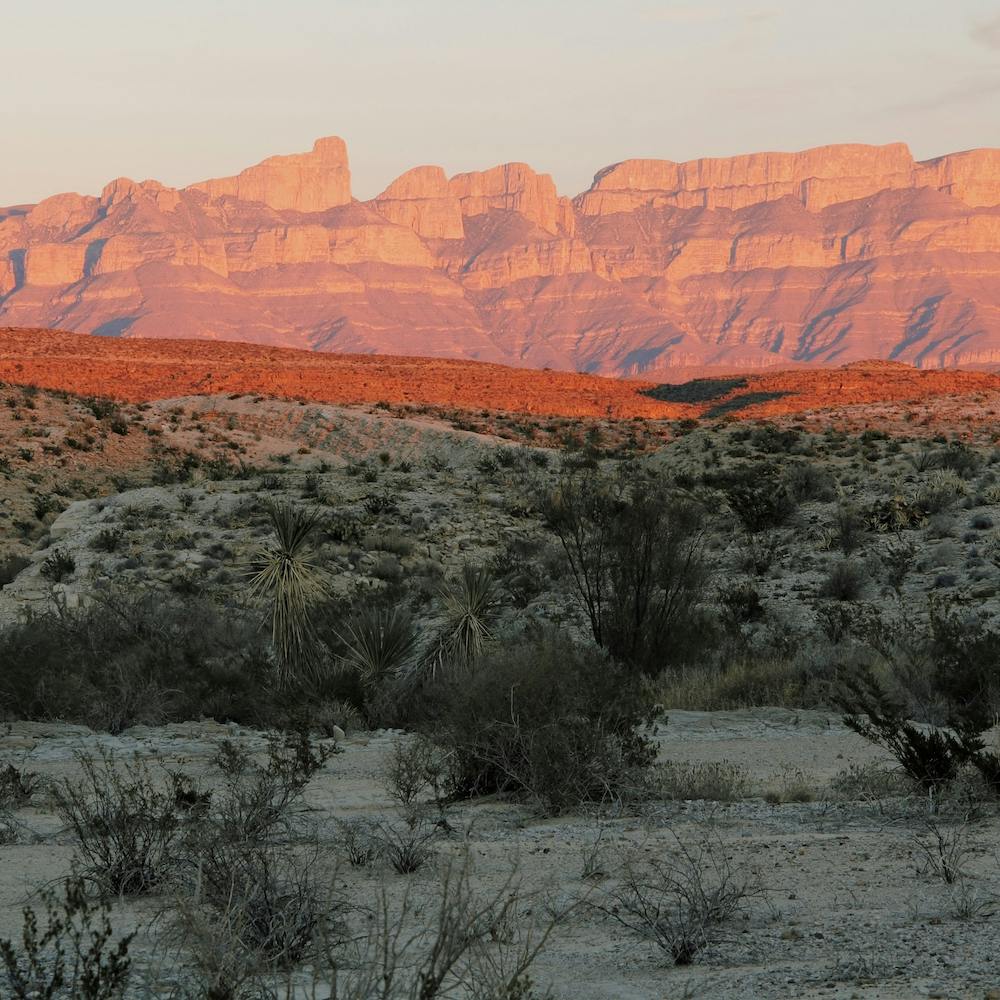 West Texas Desert Sunset Square