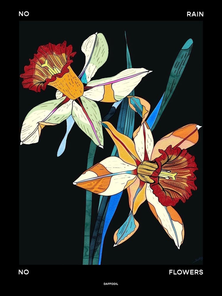No Rain No Flowers Poster Daffodil 4