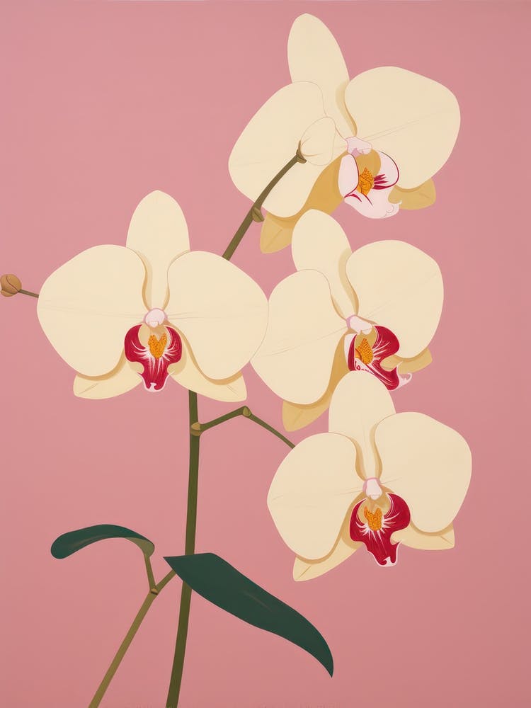 Orchids Flower Big Bold Illustration 3