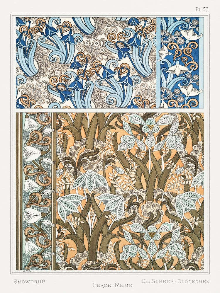 Snowdrop From The Plant And Its Ornamental Applications (1896), Maurice Pillard Verneuil 2