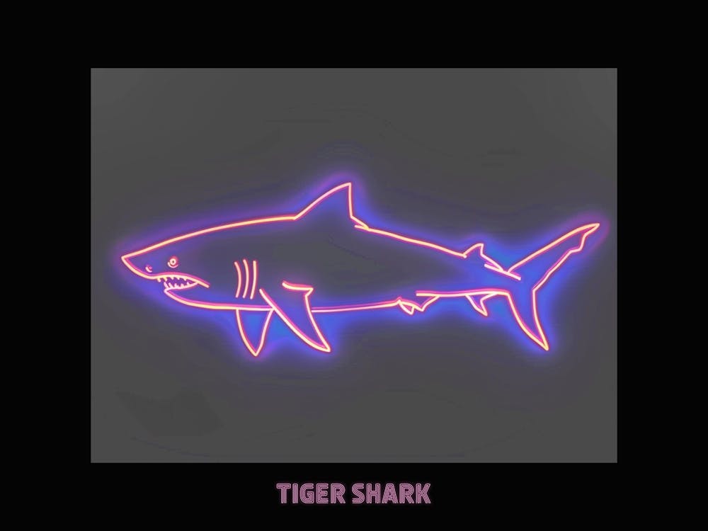 Neon Pink Tiger Shark Poster 5