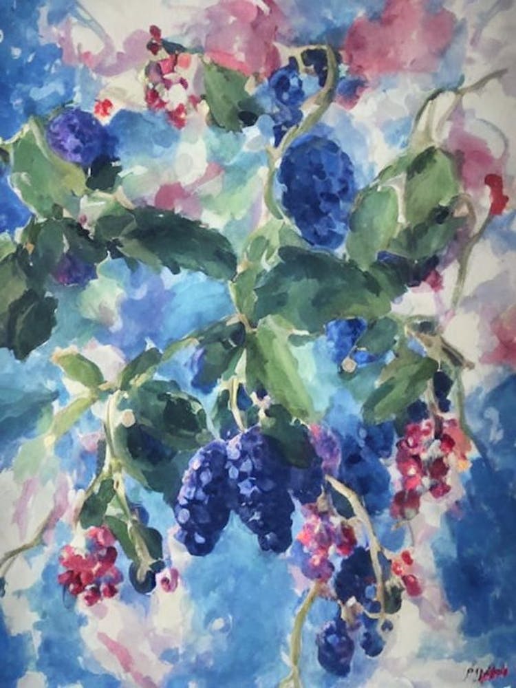 Marionberry 1 Classic Fruit