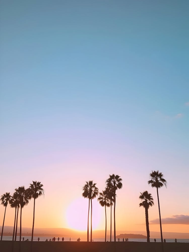 Sunset At The Beach 15