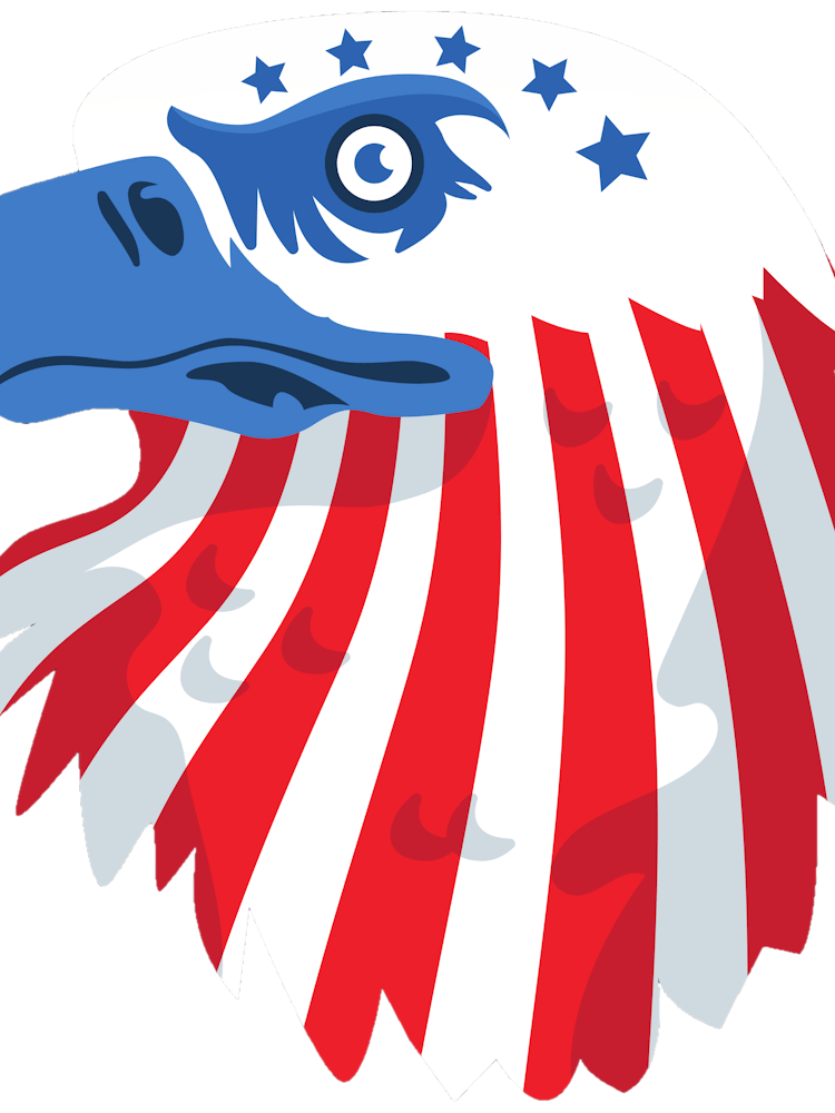 Usa America Flag Eagle Bird