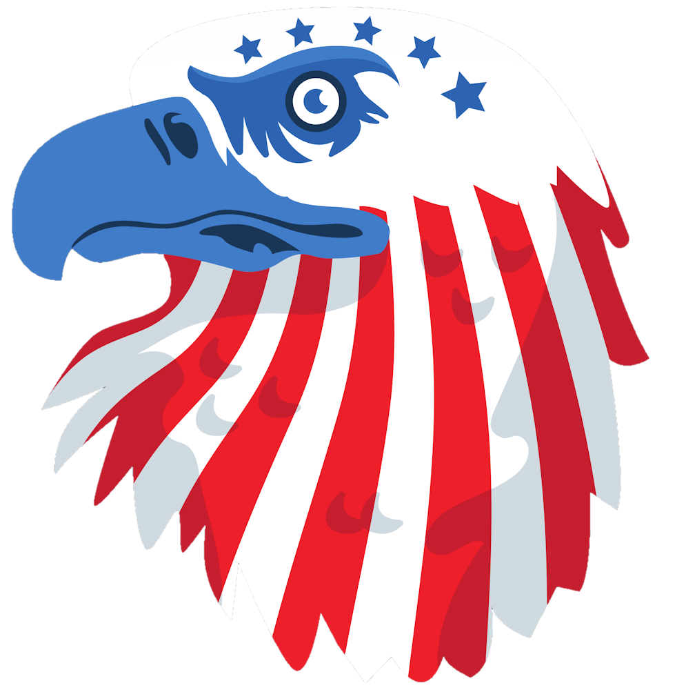 Usa America Flag Eagle Bird