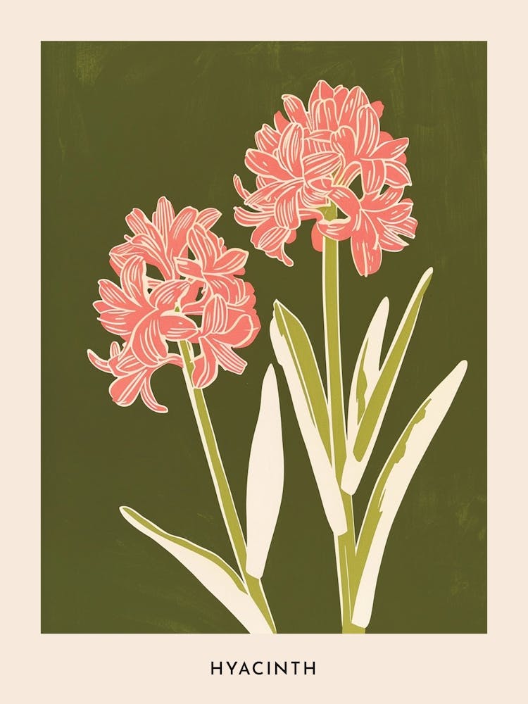 Pink & Green Hyacinth 1 Flower Poster