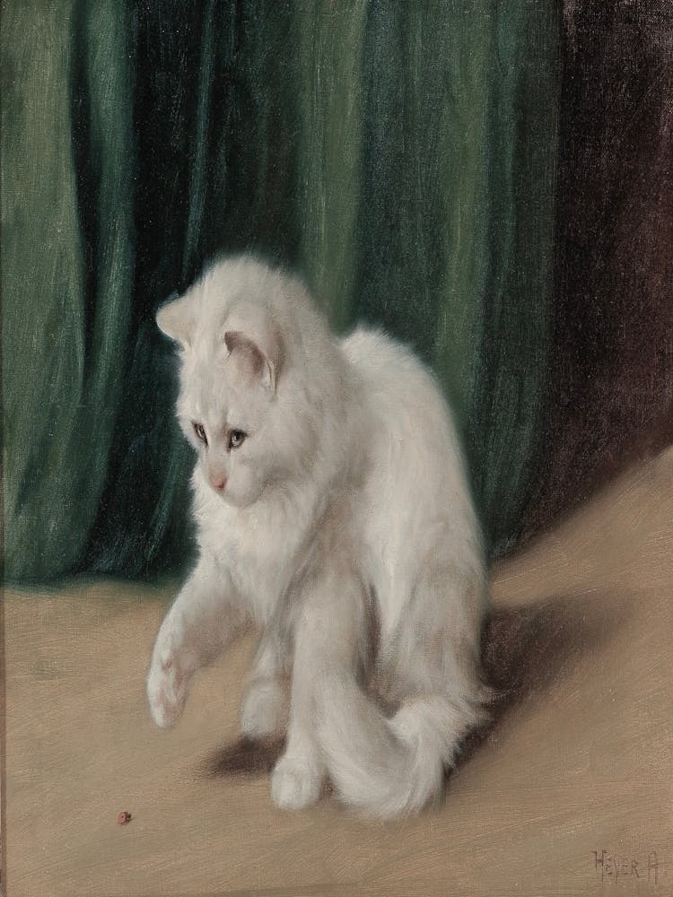 White Cat