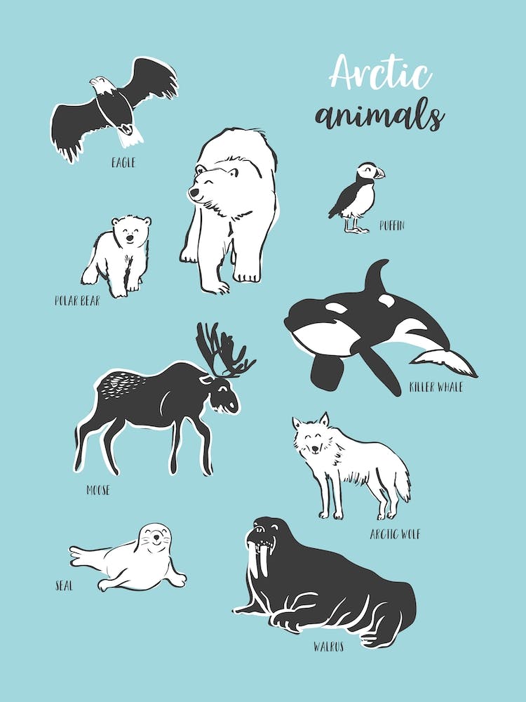 Arktische Tiere Blau