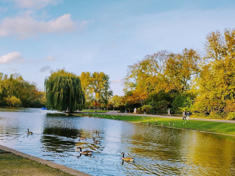 Regent's Park London