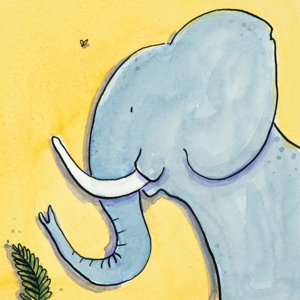 Marjory Elephant Square