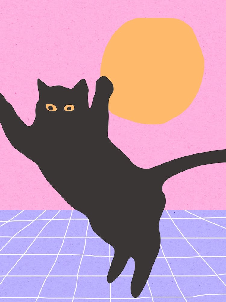 Funny Minimal Black Disco Cat Jumping