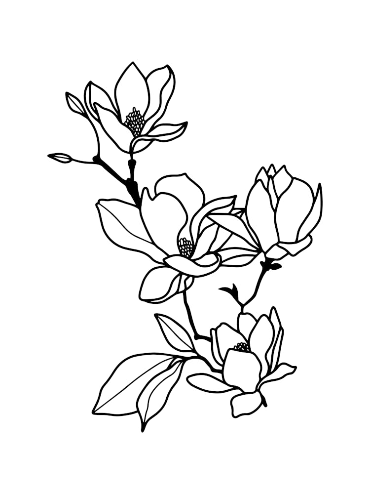 Abstract Flower Line Art