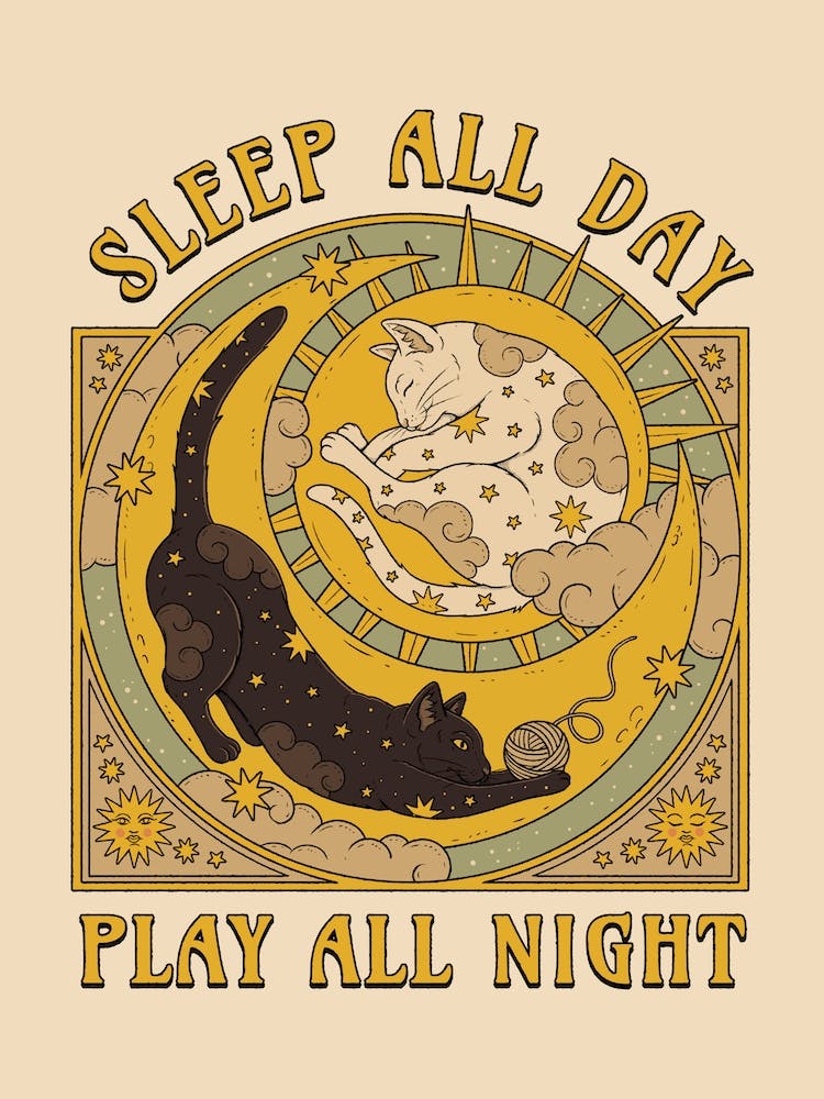 Sleep All Day, Play All Night