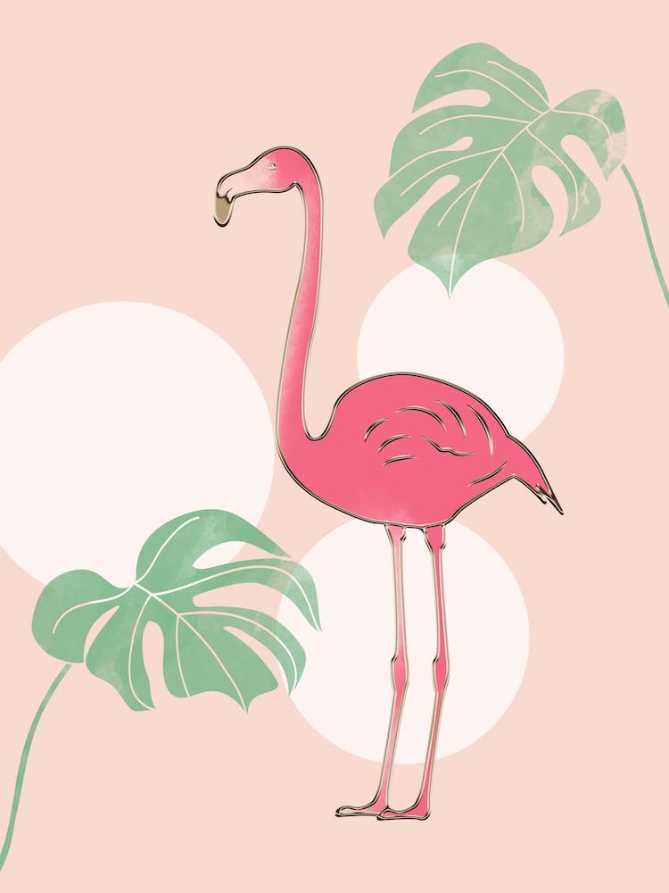 Flamingo And Monstera
