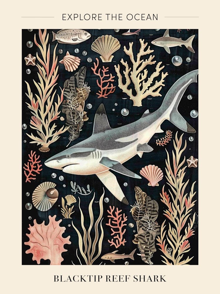 Blacktip Reef Shark Seascape Black Background Illustration 3 Poster