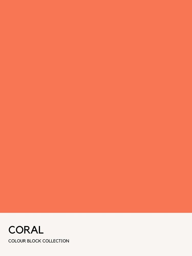 Coral Colour Block Poster