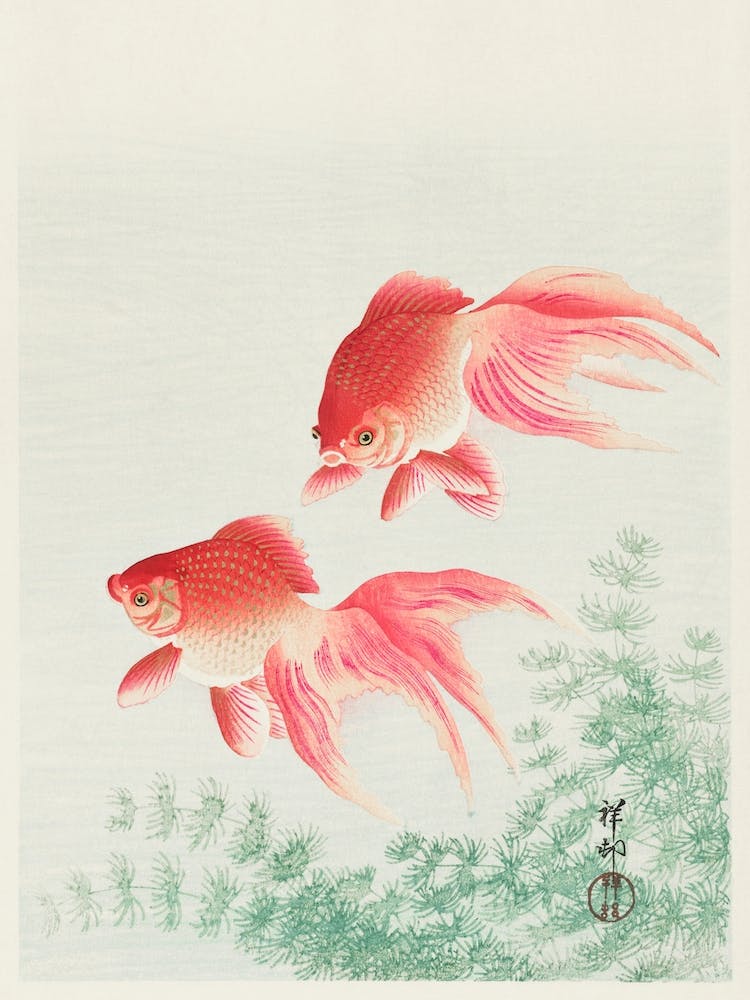 Two Veil Goldfish, Ohara Koson Vintage Japanese