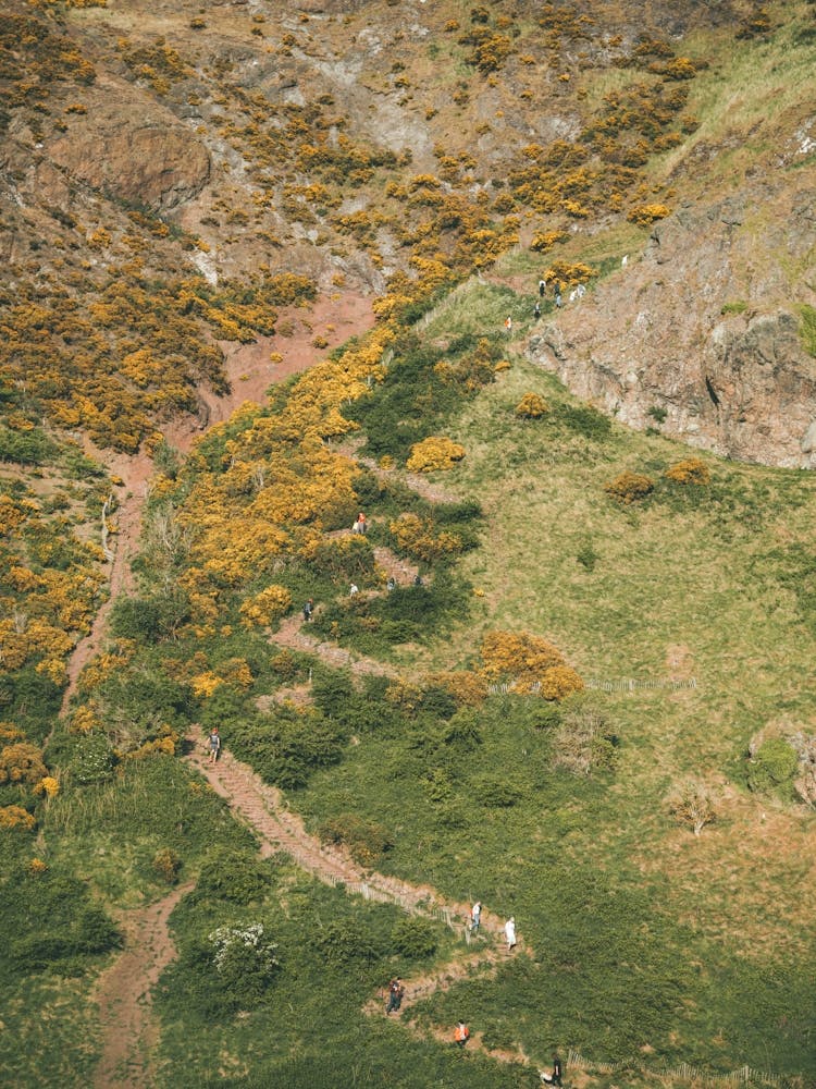Scottish Hikes