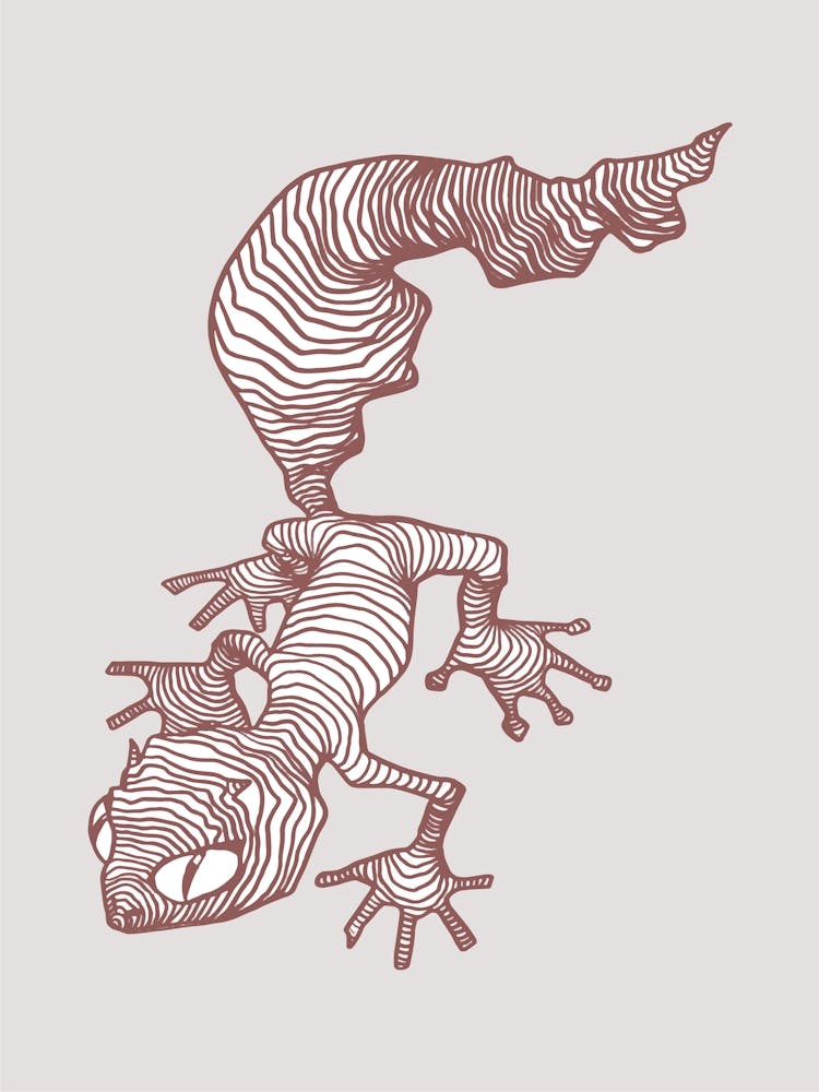 Gecko Modern