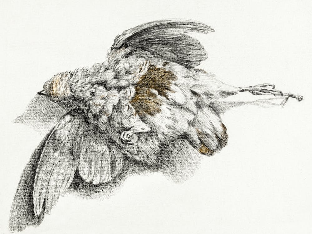 Dead Bird, Jean Bernard