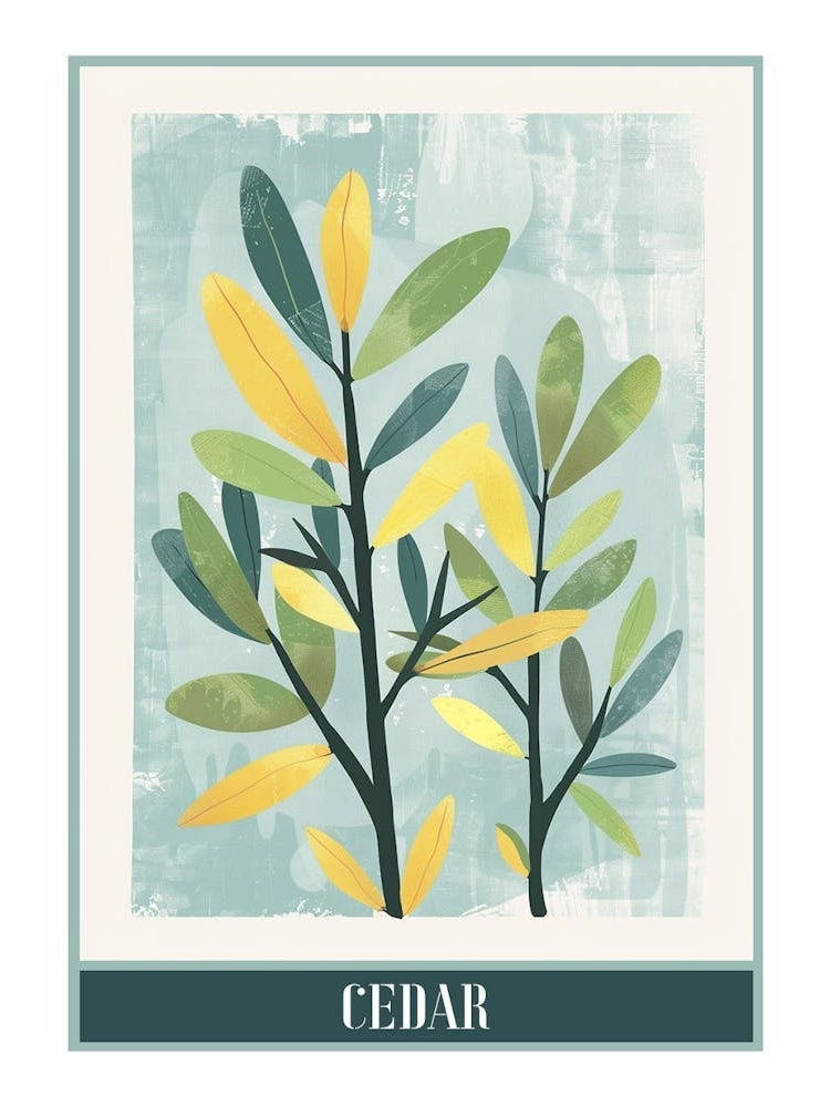 Cedar Tree Flat Illustration 3 Poster