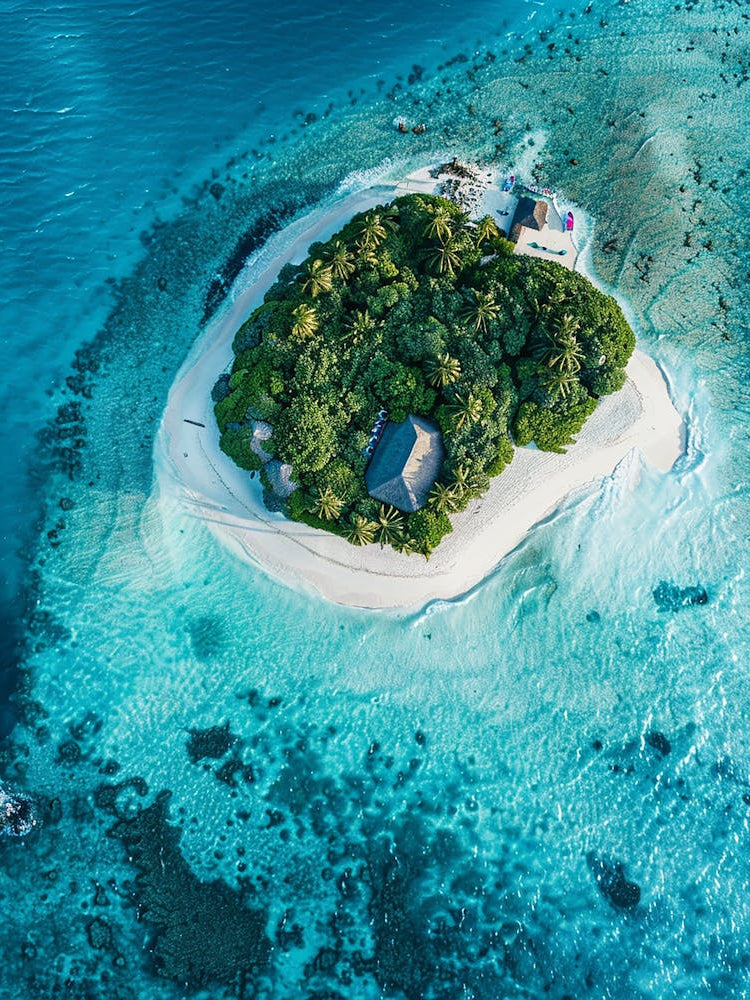 Island In The Maldives 22