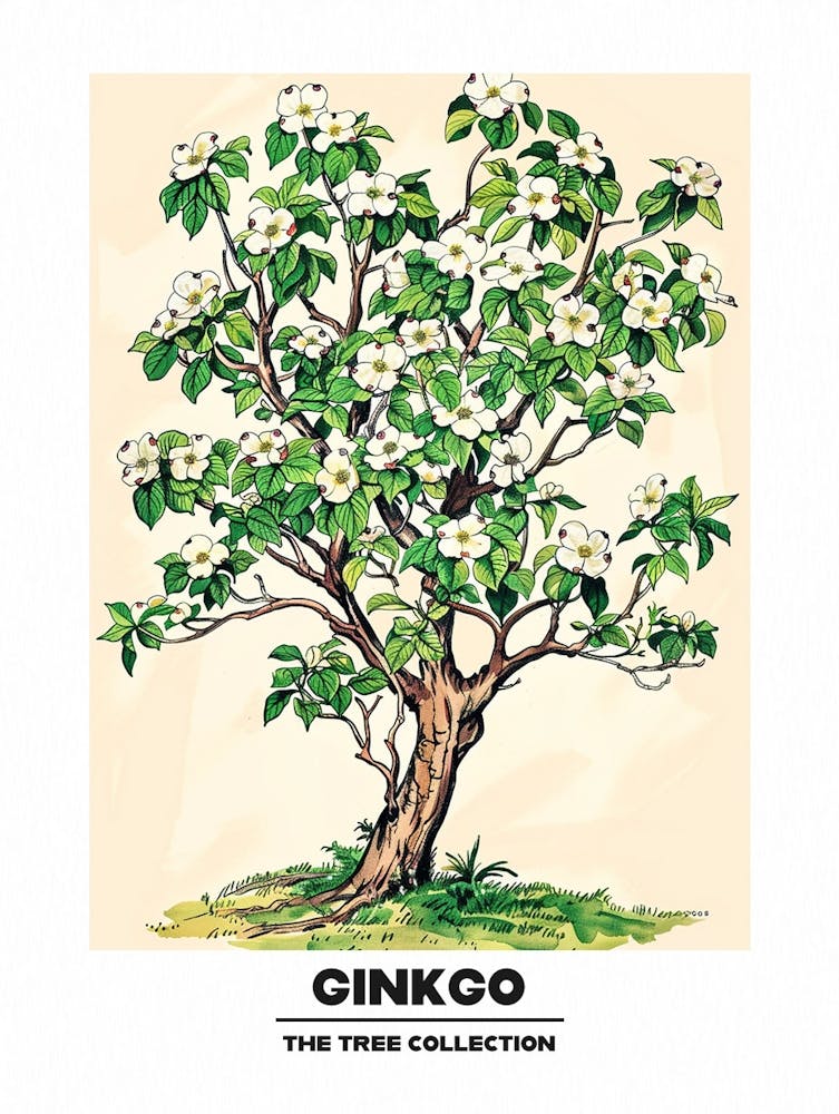 Ginkgo Tree Storybook Illustration 3 Poster