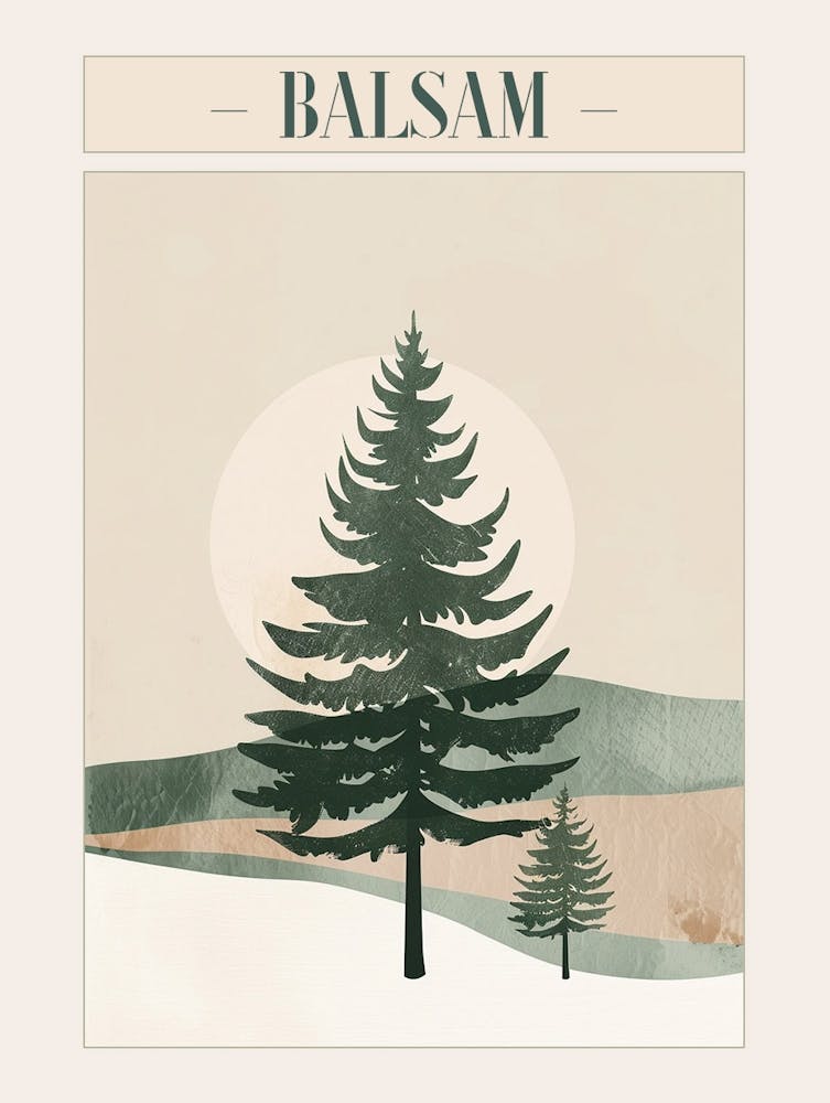 Balsam Tree Minimal Japandi Illustration 4 Poster