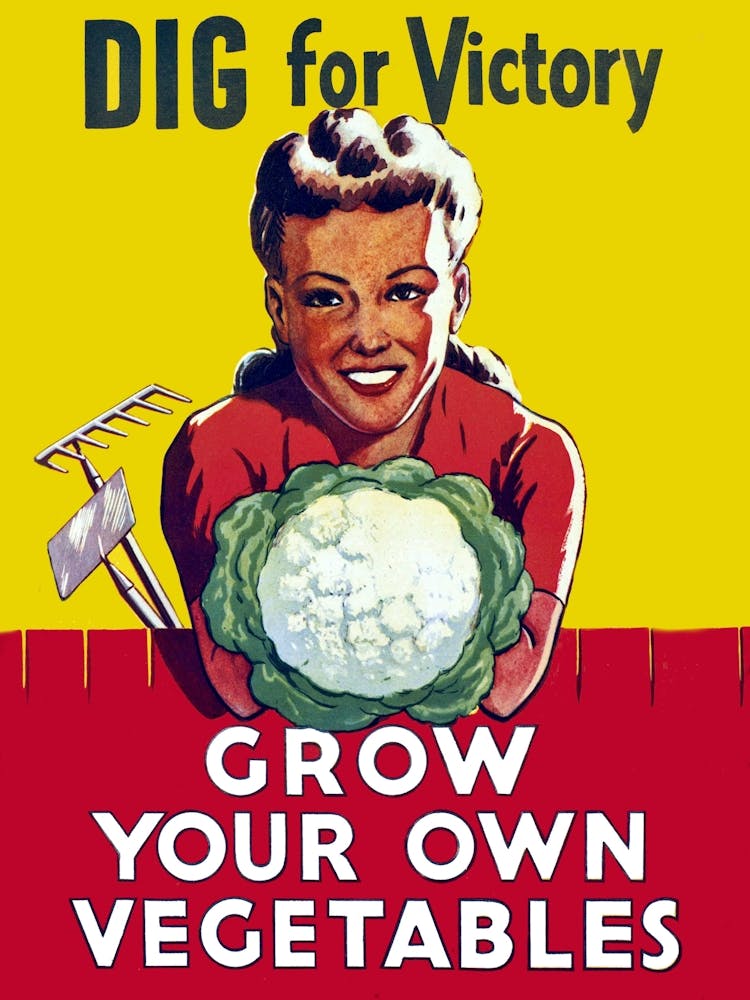 Grow Your Own Vegetables, Vintage Poster