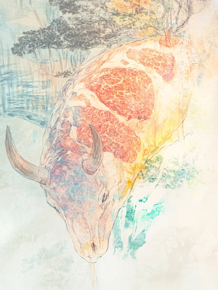 Bull Drawing