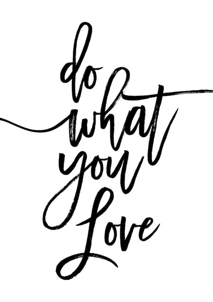 Do What You Love II
