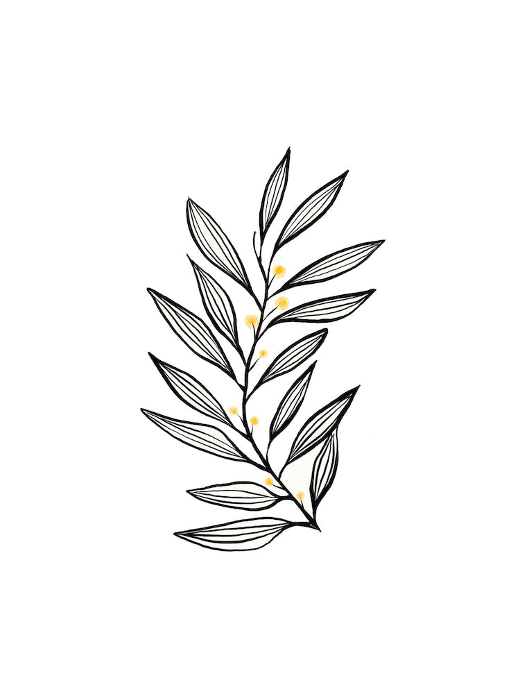 Black Plant Drawing