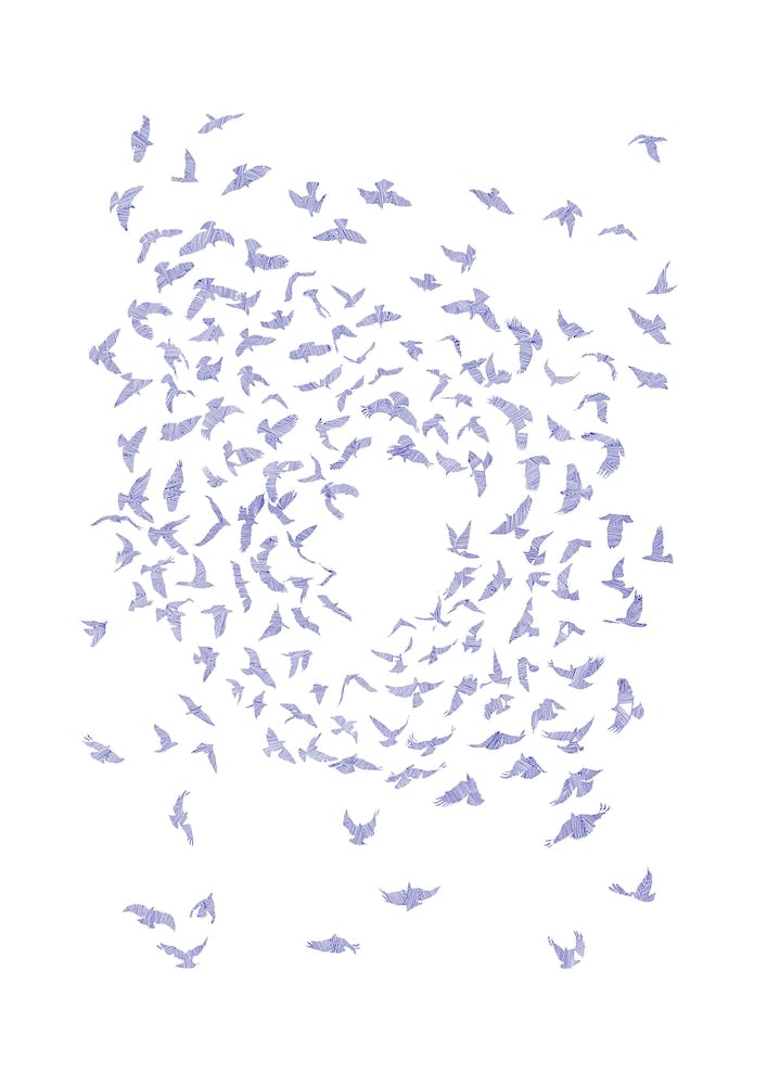 Blue Elegance of Flight