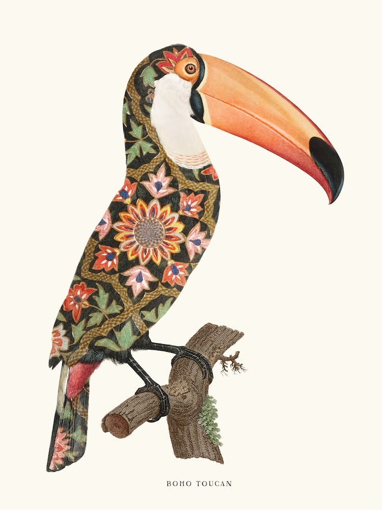Boho Tukan