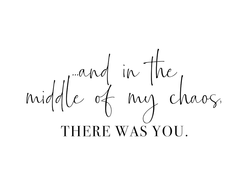 And In The Middle Of My Chaos, There Was You