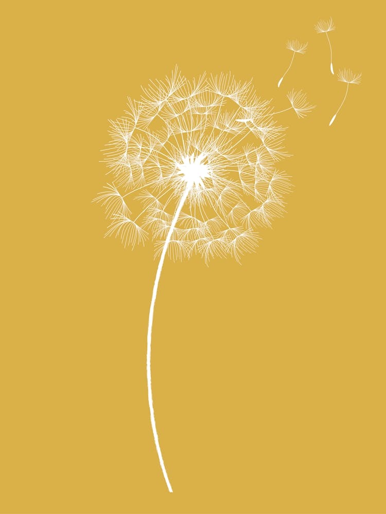 Minimalist Dandelion Print Yellow