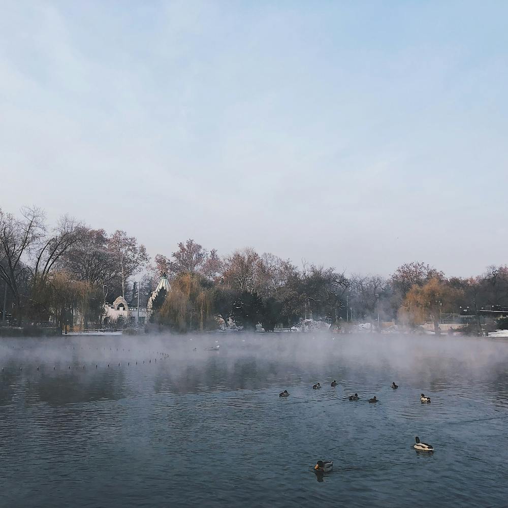 Dreamy Winter In Budapest Square