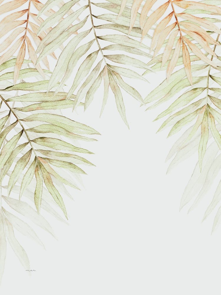 Palm Leaves Ii