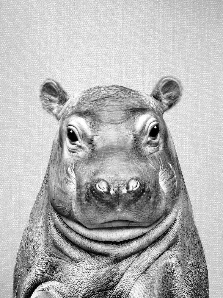 Baby Hippo - Black & White