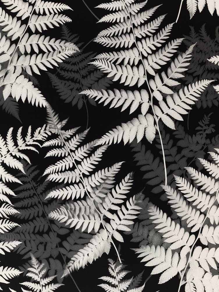 Pattern Poster Silver Lace Fern 1