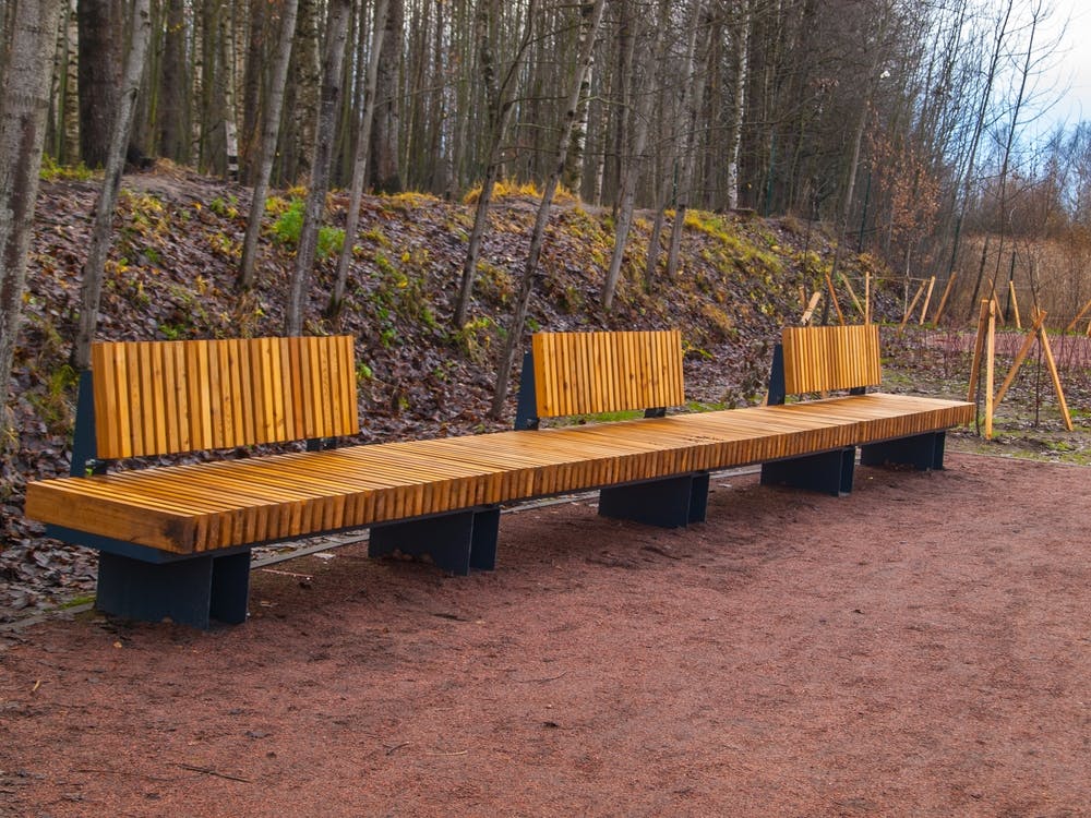 Benches In The Woods