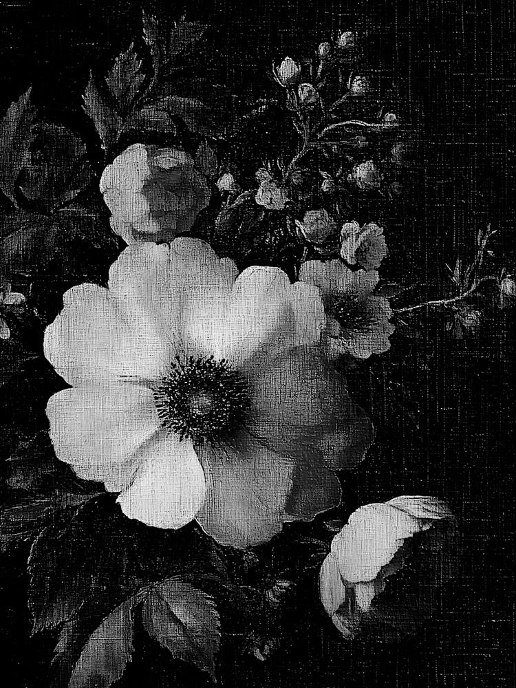 Black And White Flowers 125