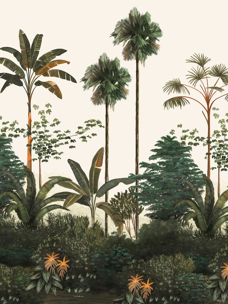 Tropical Particular Old White Jpg