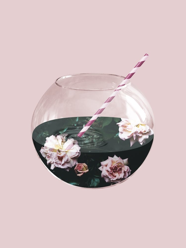 Blumenaquarium