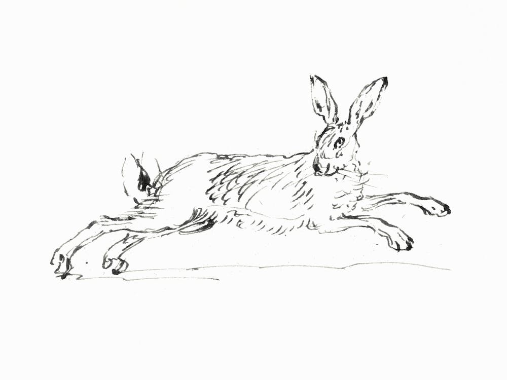 Vintage Bunny