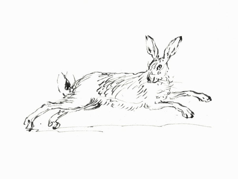 Vintage-Hase