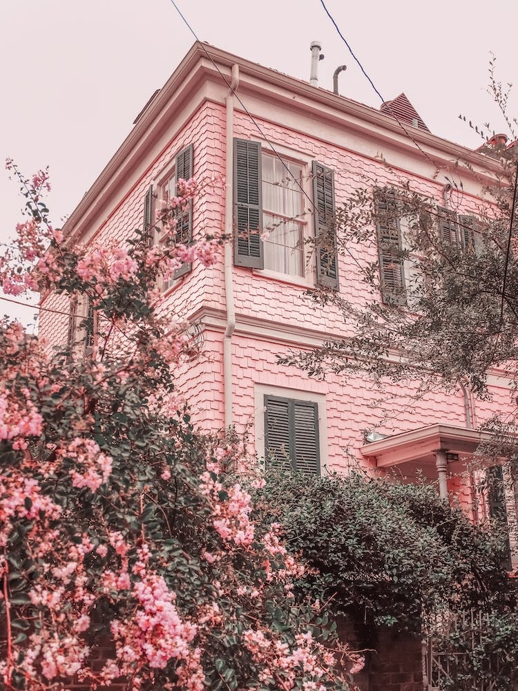 Pink Flowers Building, New Orleans