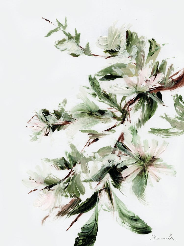 Apple Blossom